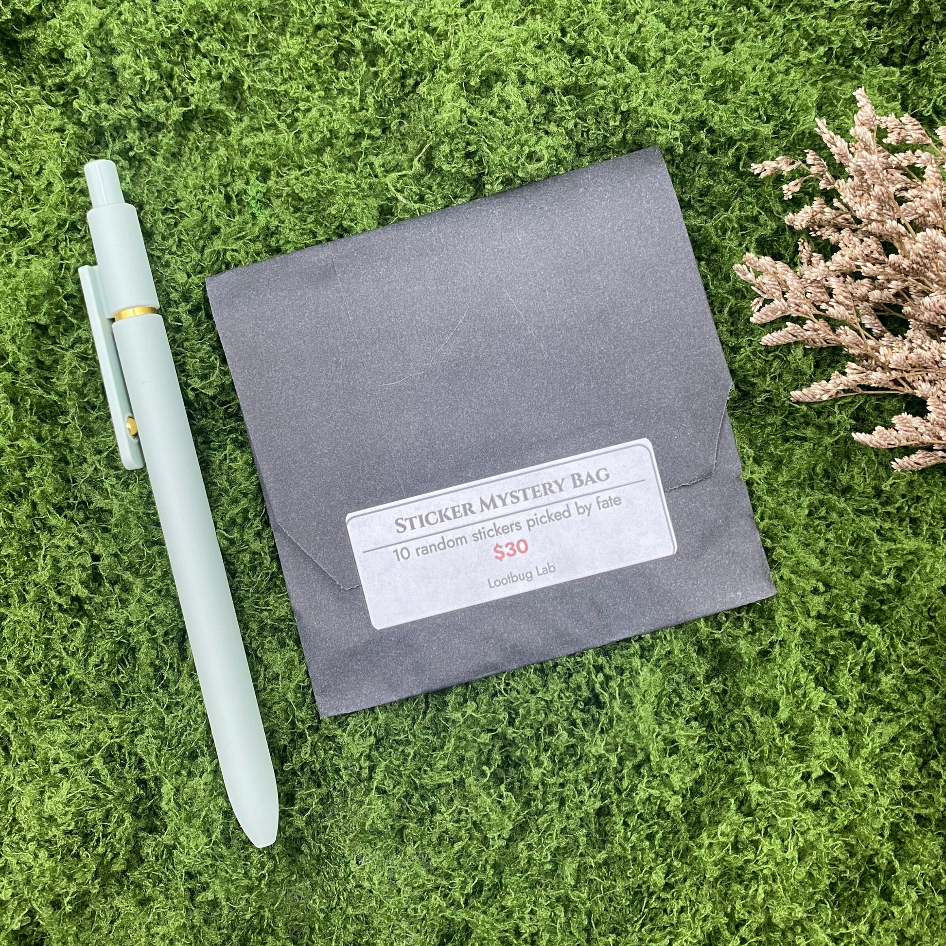 Black kraft paper envelope labeled 'Sticker Mystery Bag, 10 random stickers picked by fate, $30, Lootbug Lab,' styled with a sage green pen and dried pampas grass on a moss background.